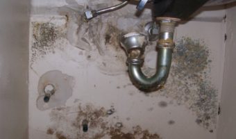 Các phương pháp chống nấm mốc trong nhà vệ sinh