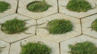 Gạch trồng cỏ – Giải pháp hoàn hảo cho sân vườn nhà bạn