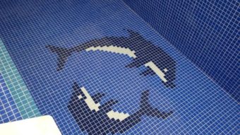 Gạch mosaic hồ bơi – Mang đẳng cấp 5 sao cho ngôi nhà bạn