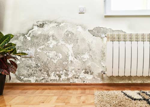 Khi nào cần phải sử dụng tấm ốp tường chống thấm?
