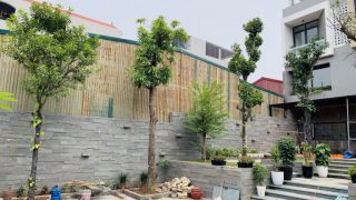 Đá ong xám ốp tường, hiệu ứng 3D độc đáo mới lạ