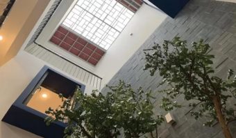 Xu hướng 2026: Gạch lấy sáng Indonesia thay thế giếng trời truyền thống