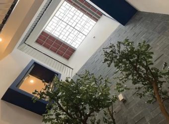 Xu hướng 2026: Gạch lấy sáng Indonesia thay thế giếng trời truyền thống