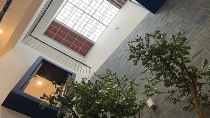 Xu hướng 2026: Gạch lấy sáng Indonesia thay thế giếng trời truyền thống